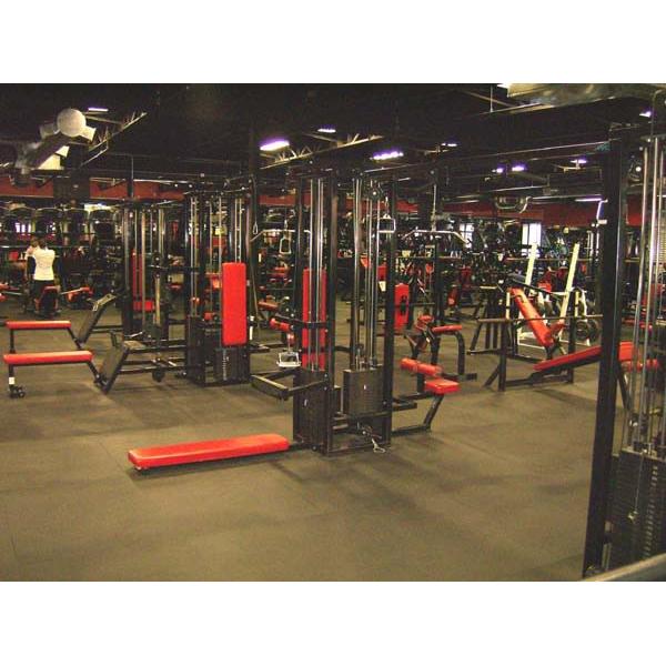 A gym with a wide selection of new and remanufactured equipment.