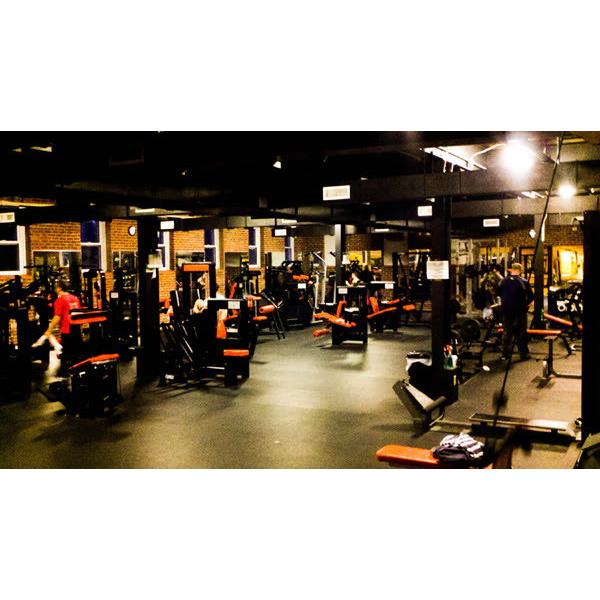 A gym with a wide selection of new and remanufactured exercise equipment. A gym with a wide selection of new and remanufactured exercise equipment.