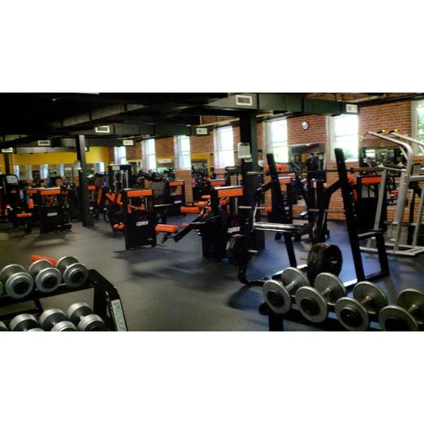 A gym with a wide array of new and remanufactured weights and equipment. A gym with a wide array of new and remanufactured weights and equipment.