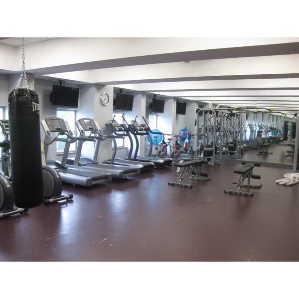 A gym outfitted with a wide array of new and remanufactured tread machines and mirrors.