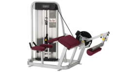 A new Cybex Eagle Prone Leg Curl - Remanufactured with a red and maroon seat.