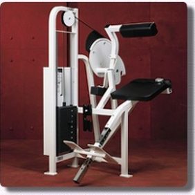 A new Cybex VR Back Extension - Remanufactured with a seated position.