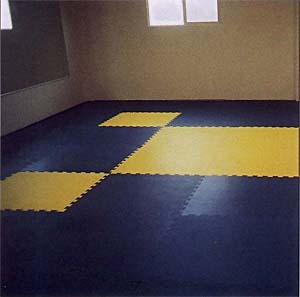 A room with new yellow and blue MMA Mats.
