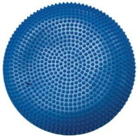 A new blue Stability Disc.