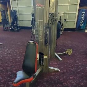 The Freemotion Overhead Triceps - As Is Functional gym machine offers adjustable weights and a comfortable seat, located in an exercise area with luxurious carpeted flooring.