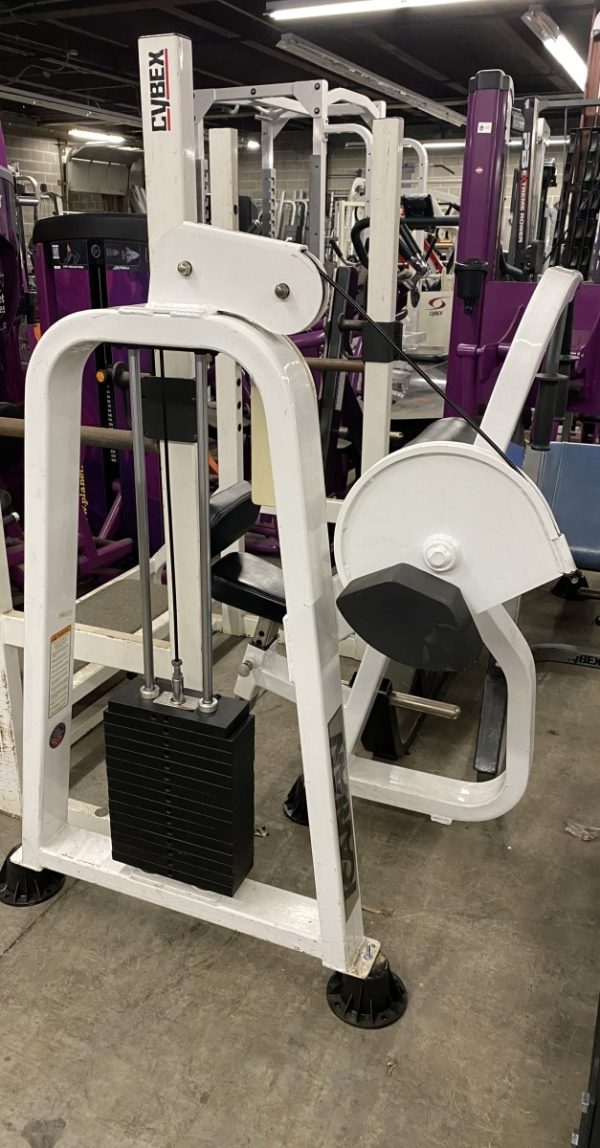 Icarian Triceps Extension - As Is Functional