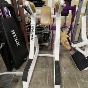 Icarian Vertical Knee Raise - Serviced