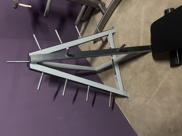 Body Master Weight Tree - As Is Functional