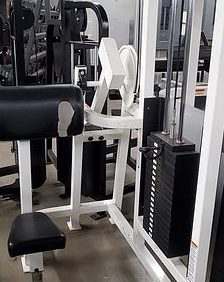 Life Fitness Pro Arm Curl- As Is Functional