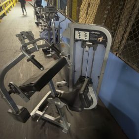 Life Fitness Pro 2 Tricep Extension- As Is Functional