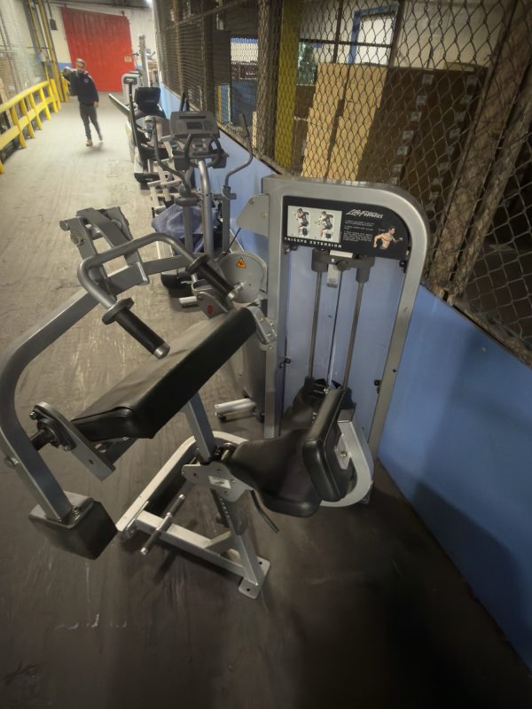 Life Fitness Pro 2 Tricep Extension- As Is Functional